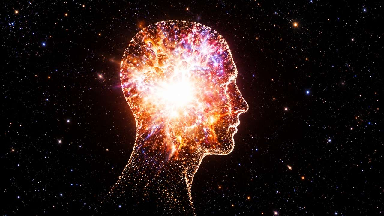 Consciousness